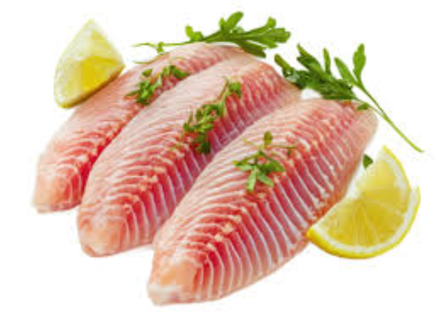 FCL TILAPIA FILLETS